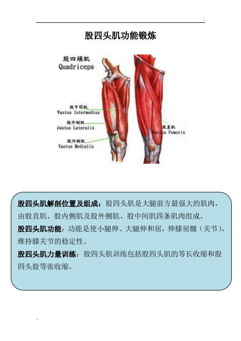 股四头肌锻炼