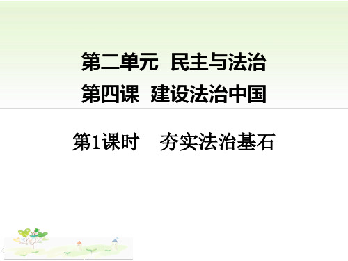 九年级道德与法治4.1 夯实法治基石优秀课件