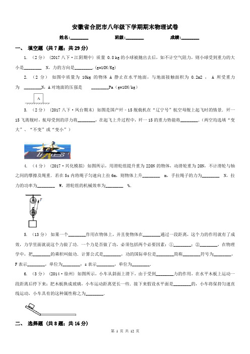 安徽省合肥市八年级下学期期末物理试卷 