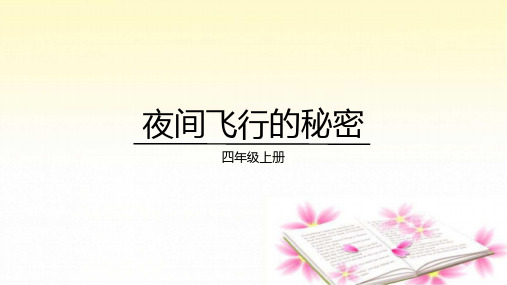 6 夜间飞行的秘密  课件(共25张PPT)