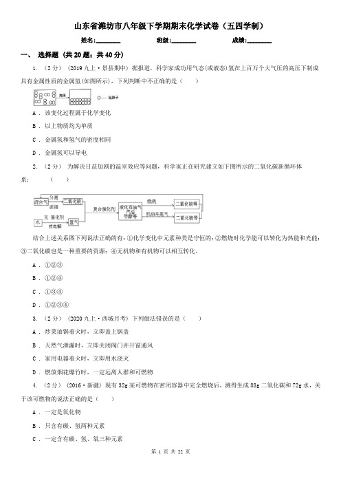 山东省潍坊市八年级下学期期末化学试卷(五四学制)