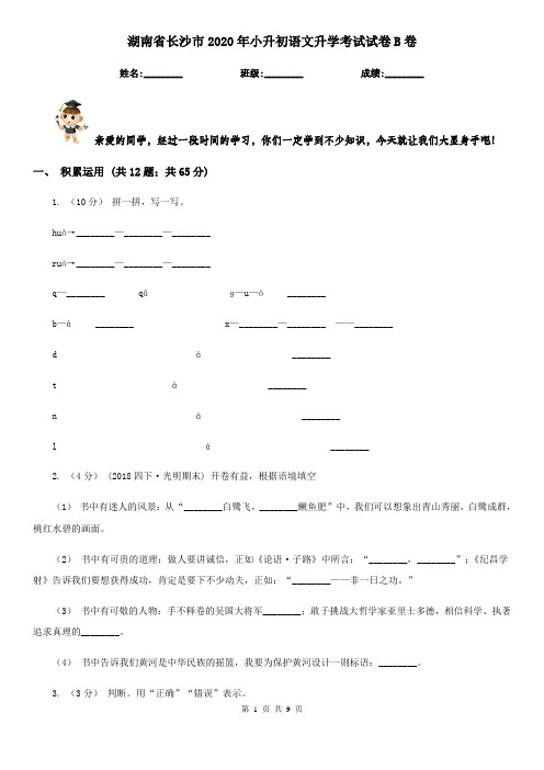 湖南省长沙市2020年小升初语文升学考试试卷B卷