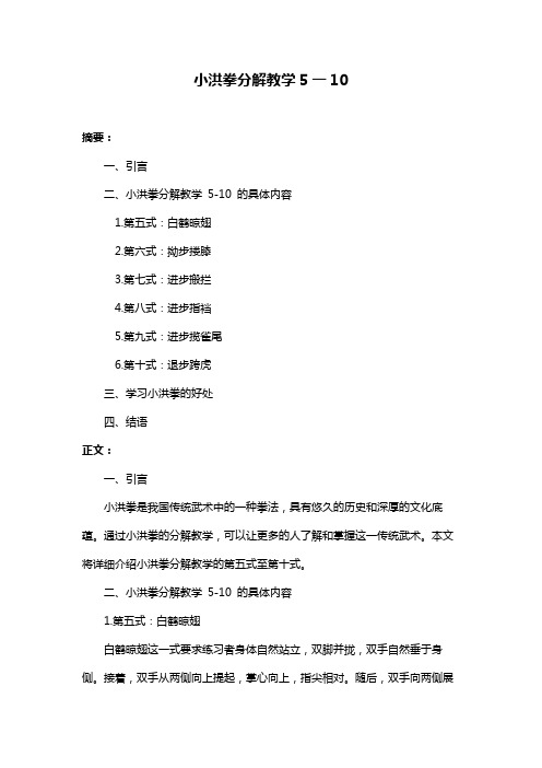 小洪拳分解教学5一10