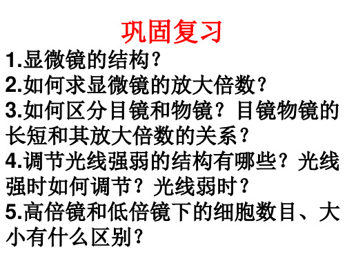 第二单元第一章第一节练习使用显微镜(2)