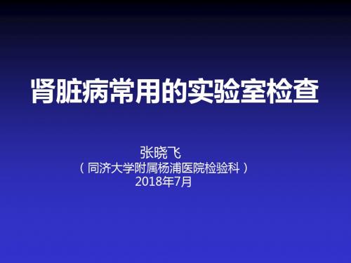 张晓飞—肾脏病常用的实验室检查