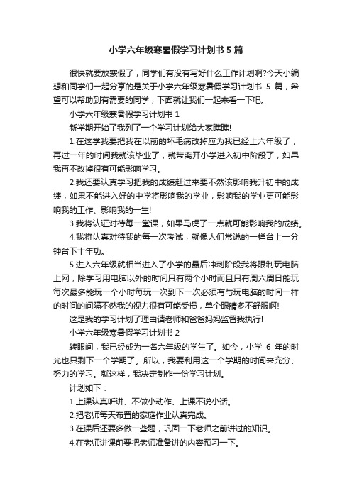 小学六年级寒暑假学习计划书5篇