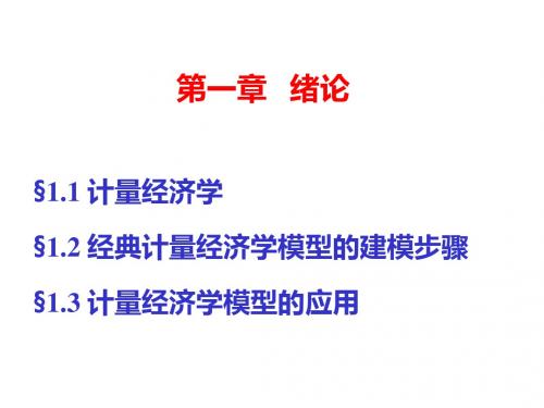 1计量经济学绪论-PPT文档资料