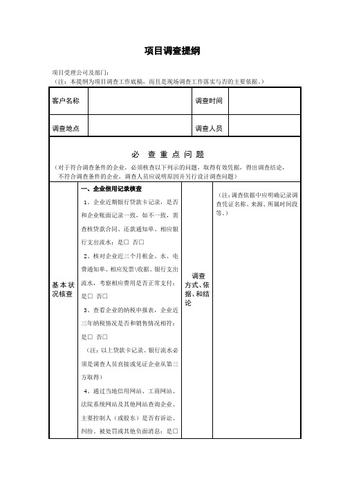 担保公司项目调查提纲(详细版)