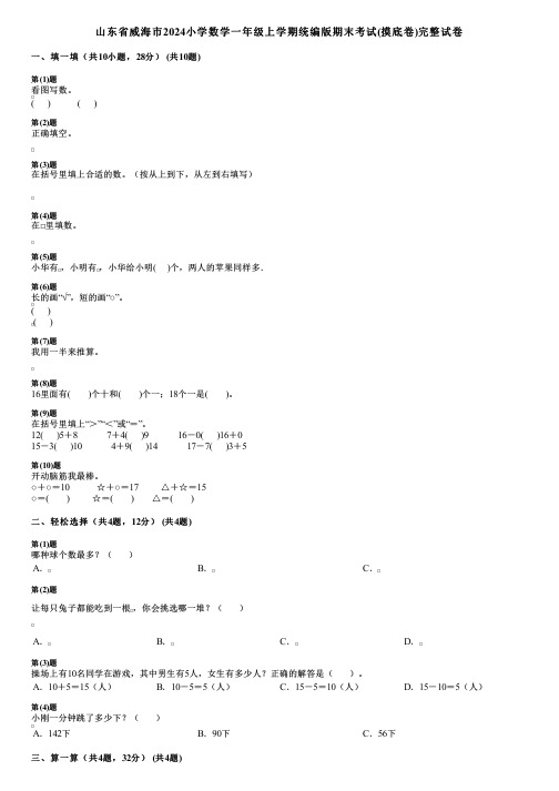 山东省威海市2024小学数学一年级上学期统编版期末考试(摸底卷)完整试卷