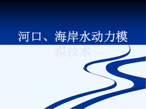 河口、海岸水动力模拟技术_2012