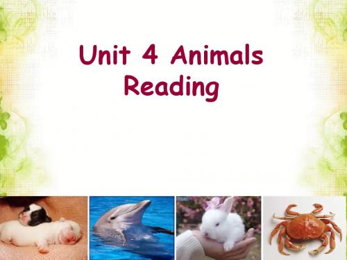 Unit 4 Animals Reading 课件 -优质公开课-重大版高中必修4精品