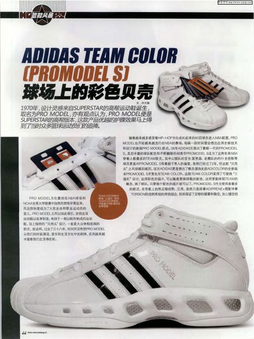 ADIDAS TEAM COLOR [PROMODEL S ]球场上的彩色贝壳
