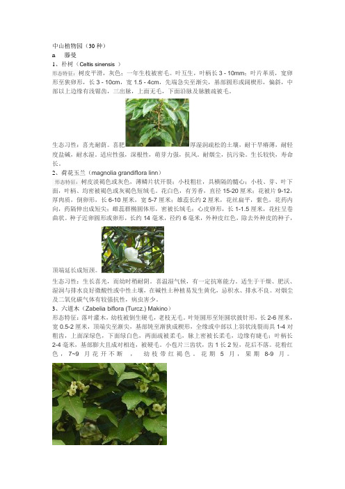 南京中山植物园植物简介