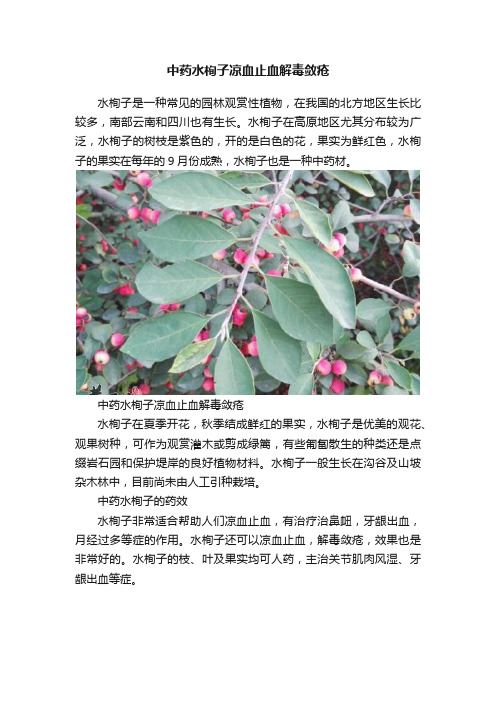 中药水栒子凉血止血解毒敛疮