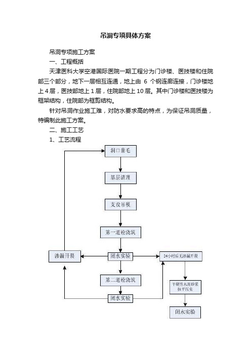 吊洞专项具体方案