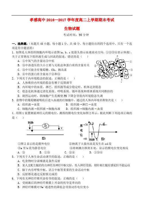 湖北省孝感高级中学高二生物上学期期末考试试题