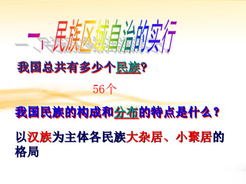 人教版历史八年级下册课件:第11课 民族团结 (共14张PPT)