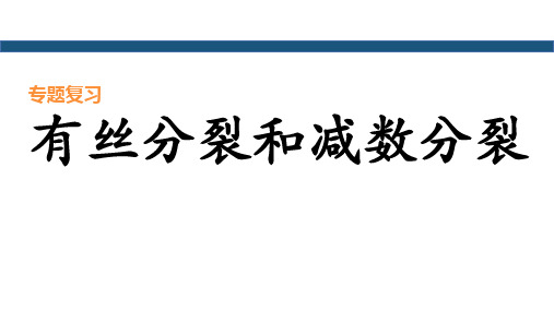 2022届高三一轮复习生物课件：减数分裂和有丝分裂比较复习