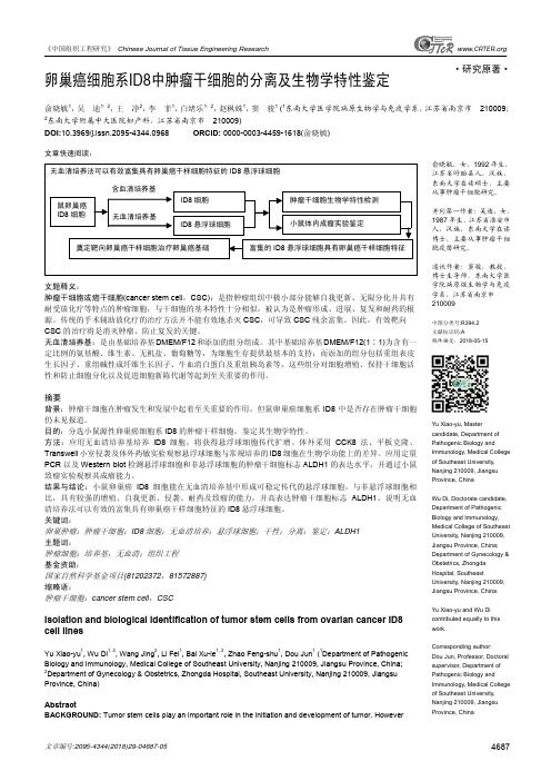 卵巢癌细胞系ID8中肿瘤干细胞的分离及生物学特性鉴定