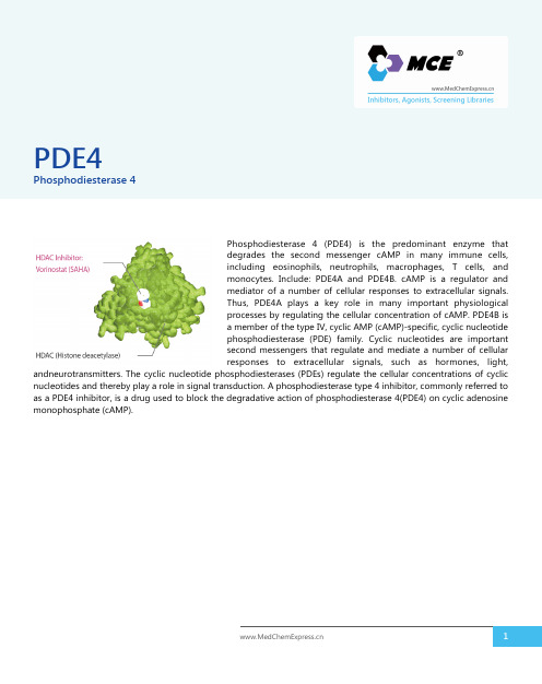 Phosphodiesterase_4抑制剂_激动剂_MCE