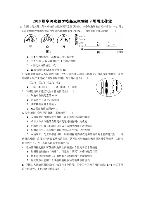 2018届华美实验学校高三生物第9周周末作业