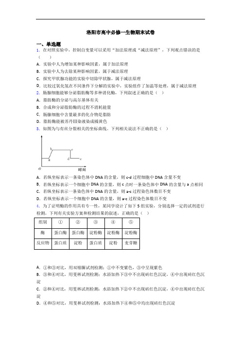 洛阳市高中必修一生物期末试卷