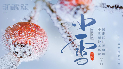 《小雪》班会课件