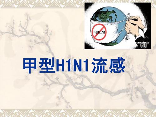 H1N1甲型流感