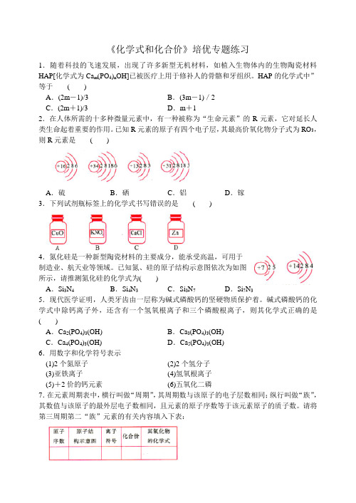 沪教版化学九年级上册《化学式和化合价》培优专题练习