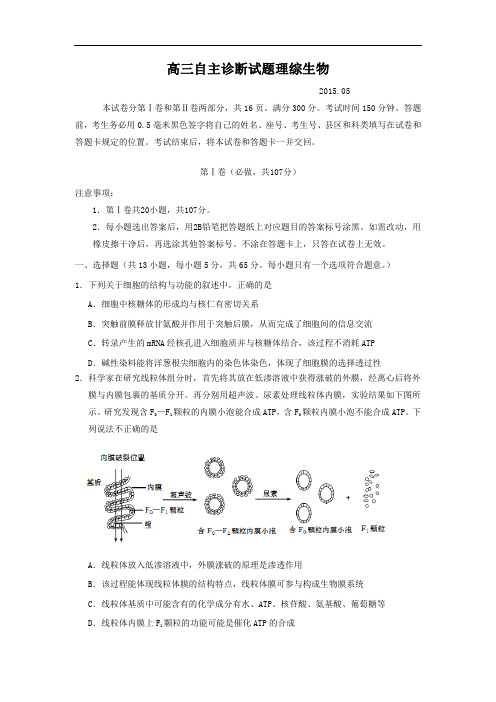 生物高考模拟卷-高三生物试题及答案-青岛市2015届高三下学期第二次模拟考试理综