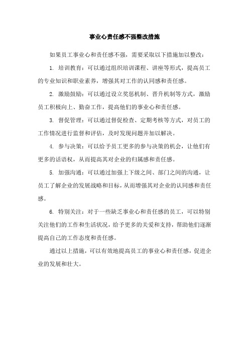 事业心责任感不强整改措施