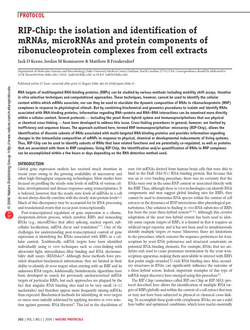 Nature RNA_immunoprecipitation_protocol
