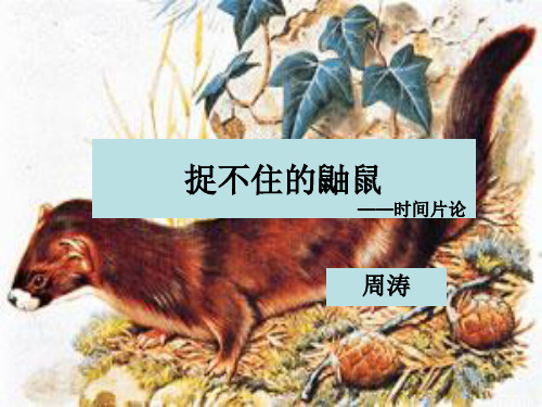 中国现代诗歌散文欣赏(人教版高中语文选修)课件—捉不住的鼬鼠