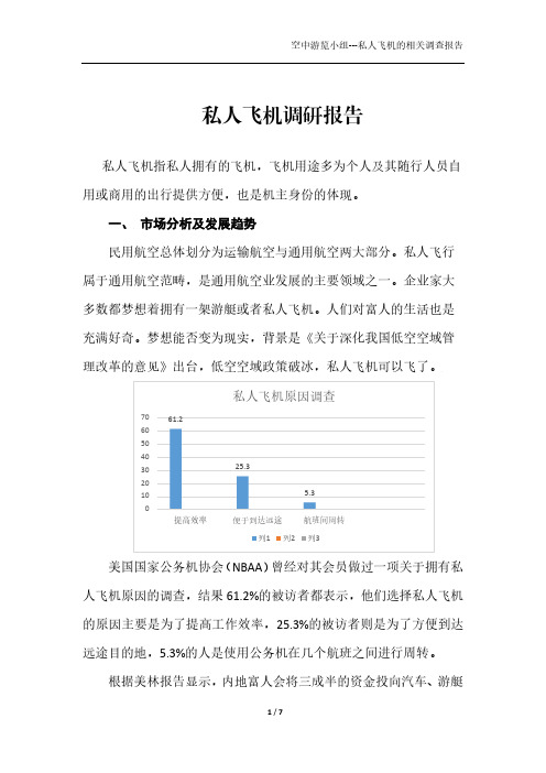 5-私人飞机调研报告