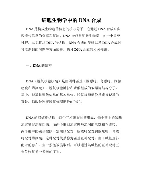 细胞生物学中的DNA合成