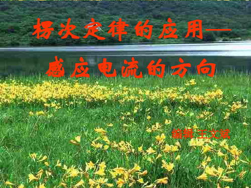 高二物理下学期楞次定律的应用-感应电流的方向判定-新人教版(201911整理)