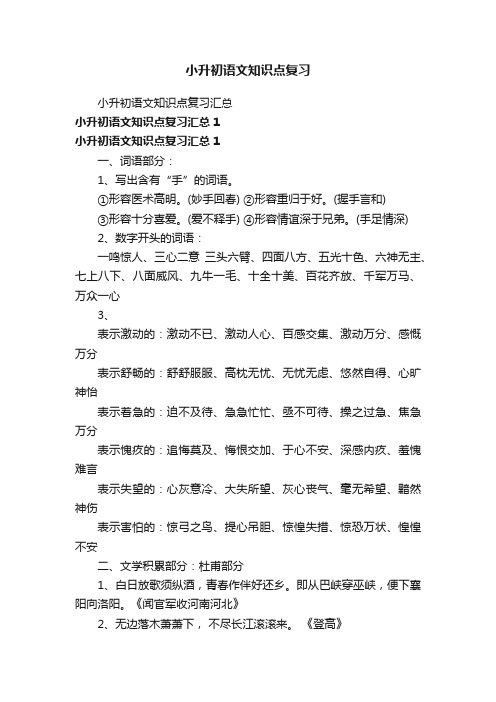 小升初语文知识点复习