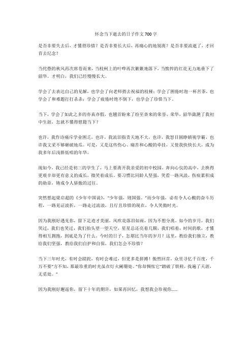 怀念当下逝去的日子作文700字最新版