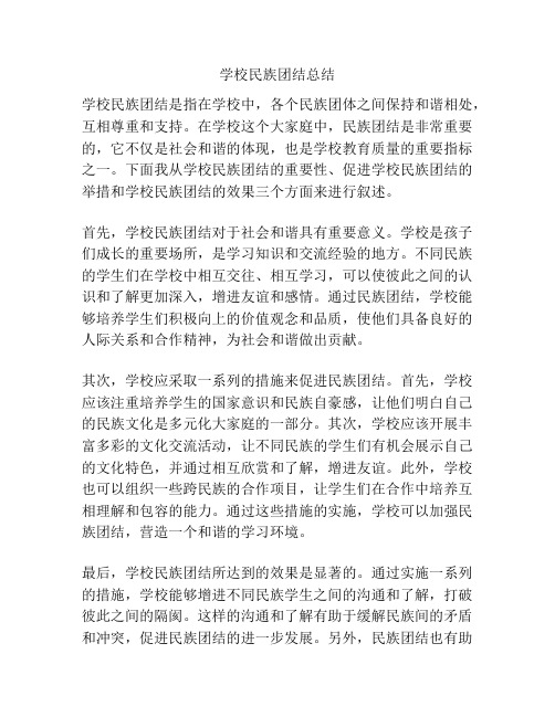 学校民族团结总结