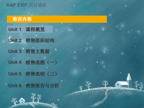 SAPSD模块