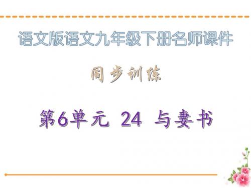 同步训练·24 与妻书_语文版语文九年级下册课件