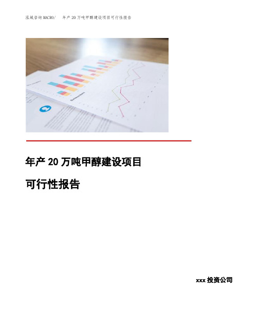 年产20万吨甲醇建设项目可行性报告