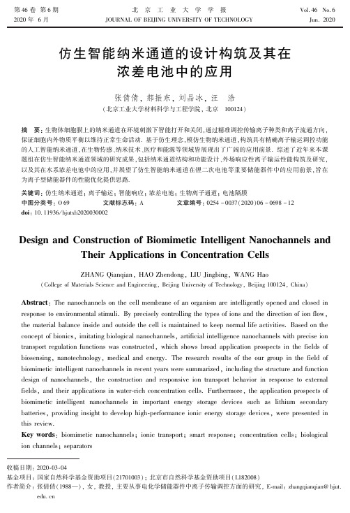 仿生智能纳米通道的设计构筑及其在浓差电池中的应用
