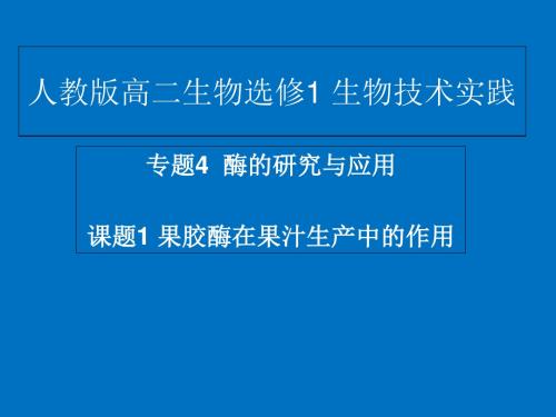 人教2003课标版 高中生物 选修1专题4课题1 果胶酶在果汁生产中的作用(共28张PPT)