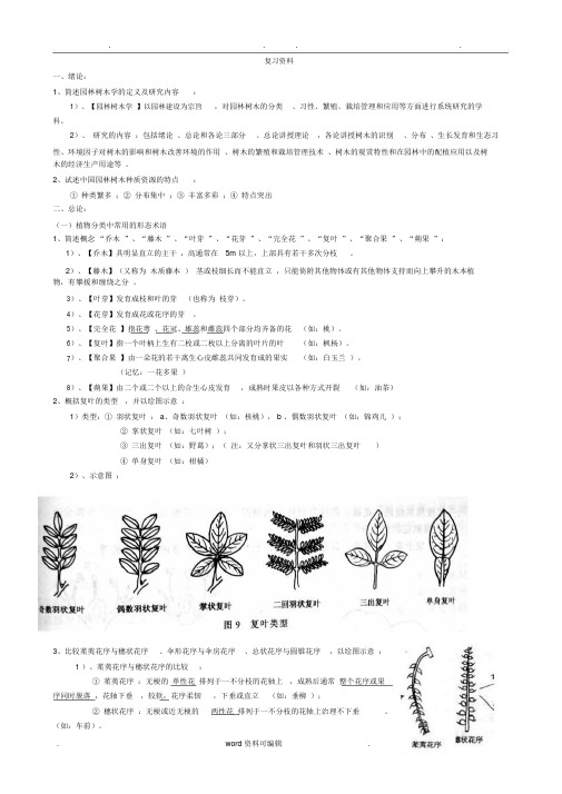 树木学学习知识整理.doc