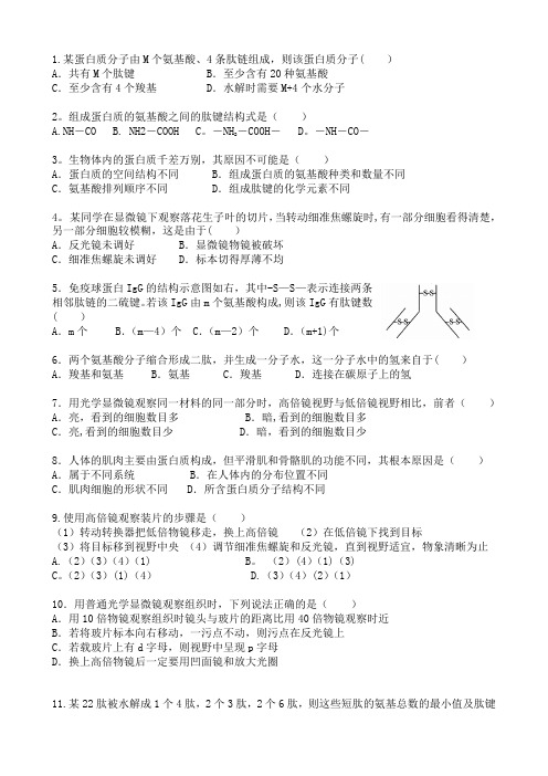 人教版高中生物必修一蛋白质练习