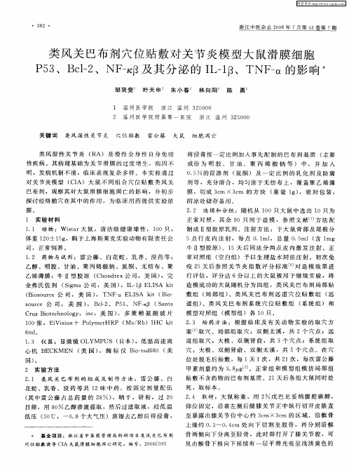 类风关巴布剂穴位贴敷对关节炎模型大鼠滑膜细胞P53、Bcl-2、NF-κβ及其分泌的IL-1β、TNF-α的影响