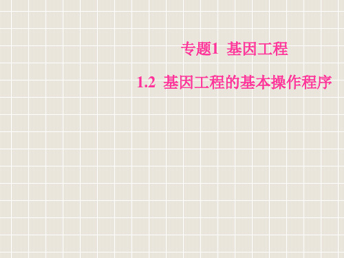 2018-2019学年高中生物 专题1 基因工程 1.2 基因工程的基本操作程序优质课件 新人教版选