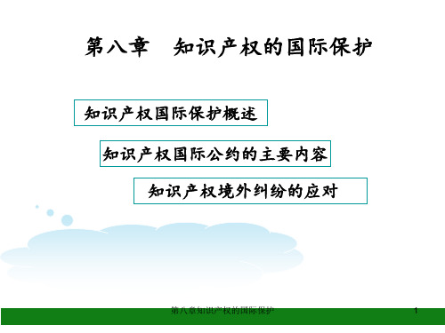 第八章知识产权的国际保护 ppt课件