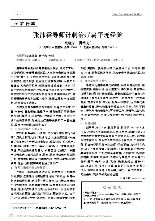 张沛霖导师针刺治疗扁平疣经验_段晓荣